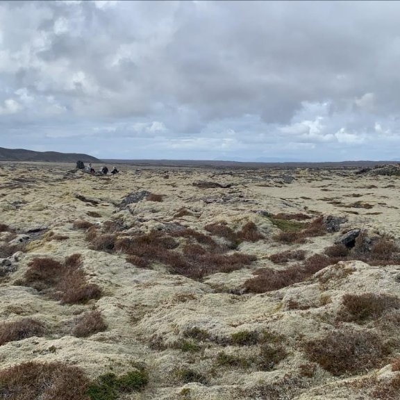 0e95cc11-46cf-43ad-8368-a86c06d8e65c11