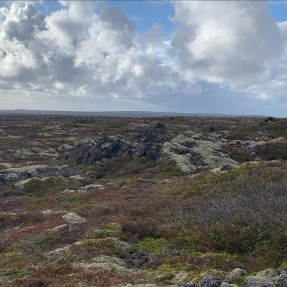 f02eeef6-9ff6-4f17-9bad-9a769134c67e