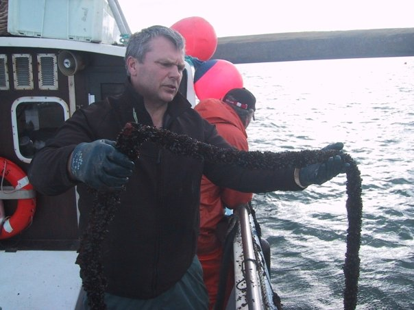 Er framtíð í kræklingaræktun á Suðurnesjum?