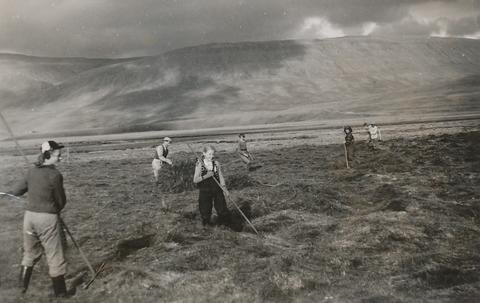 Sumarstörf í sveitafélaginu Vogum.