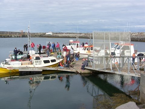 Bryggjudagurinn í Vogum