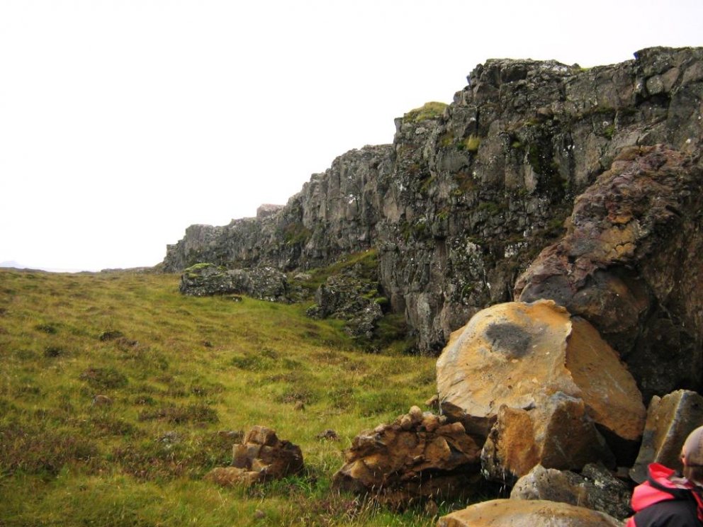 Dagur villtra blóma í Vogum sunnudaginn 14. júní