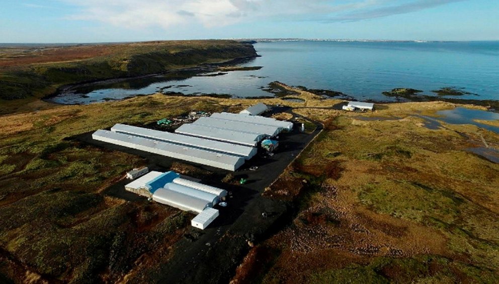 Aukin framleiðsla eldis í Vogavík