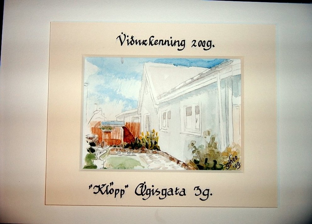 Umhverfisviðurkenningar Sveitarfélagsins Voga 2009