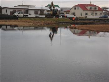 Vogatjörn. Grein eftir Þorvald Örn Árnason líffræðing