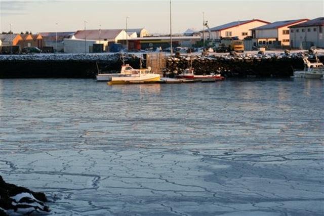 Höfnin ísilögð þann 5. janúar