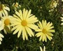 Umhverfisframkvæmdir hafnar