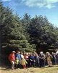 Aðalfundur Skógfells