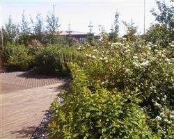 Tilnefningar til umhverfisviðurkenninga Voga 2007