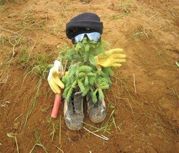 Opnað fyrir skráningar í vinnuskólann