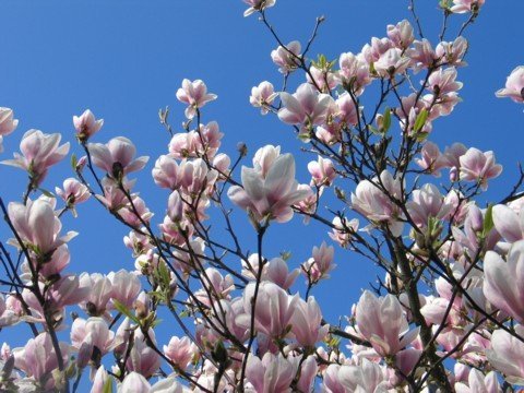 Ný heimasíða Orlofsnefndar Gullbringu- og Kjósarsýslu
