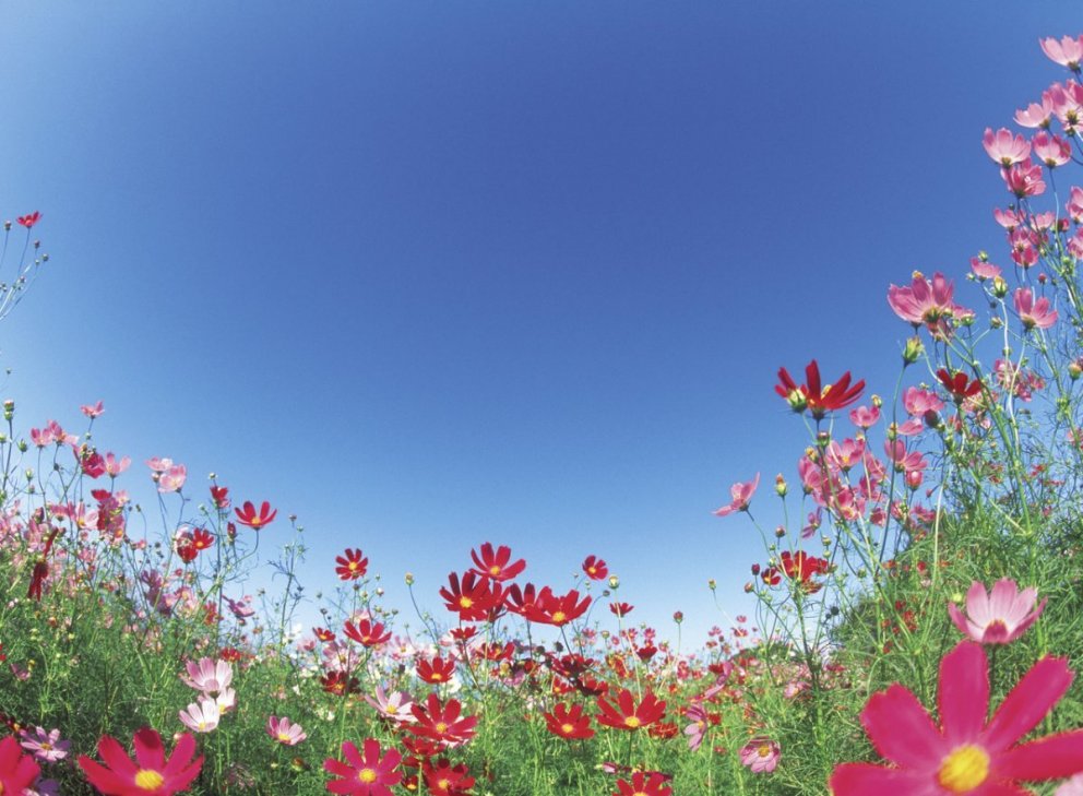 Umhverfisdagar Sveitarfélagsins Voga 2021