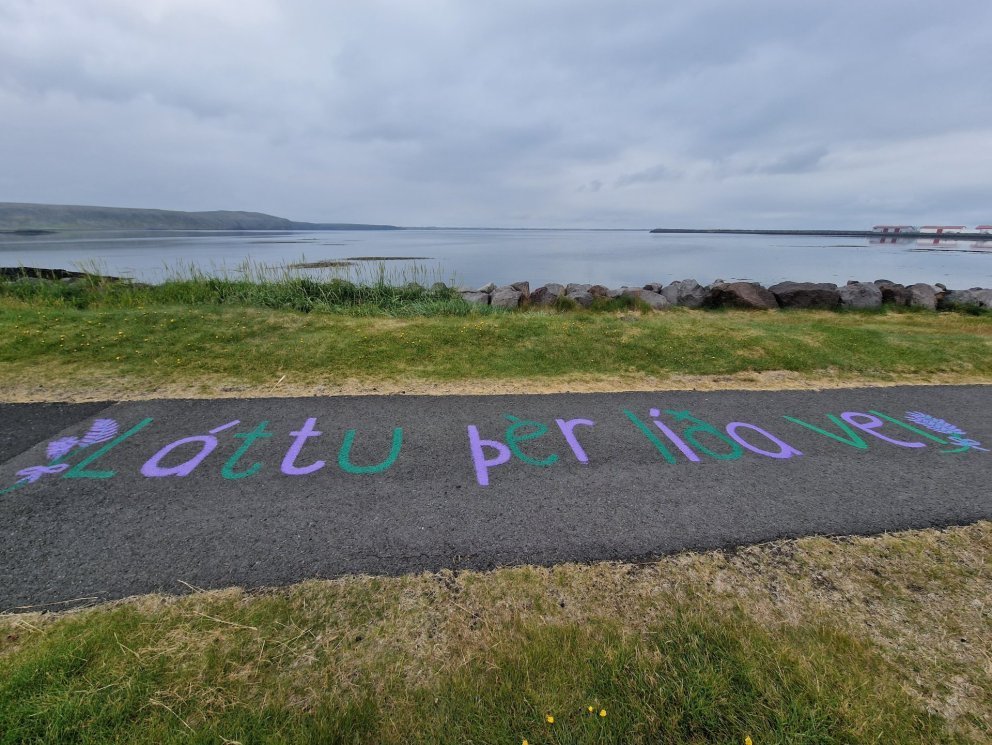 Hreinsunardagar í Vogum eru hafnir og standa til 2. júní.