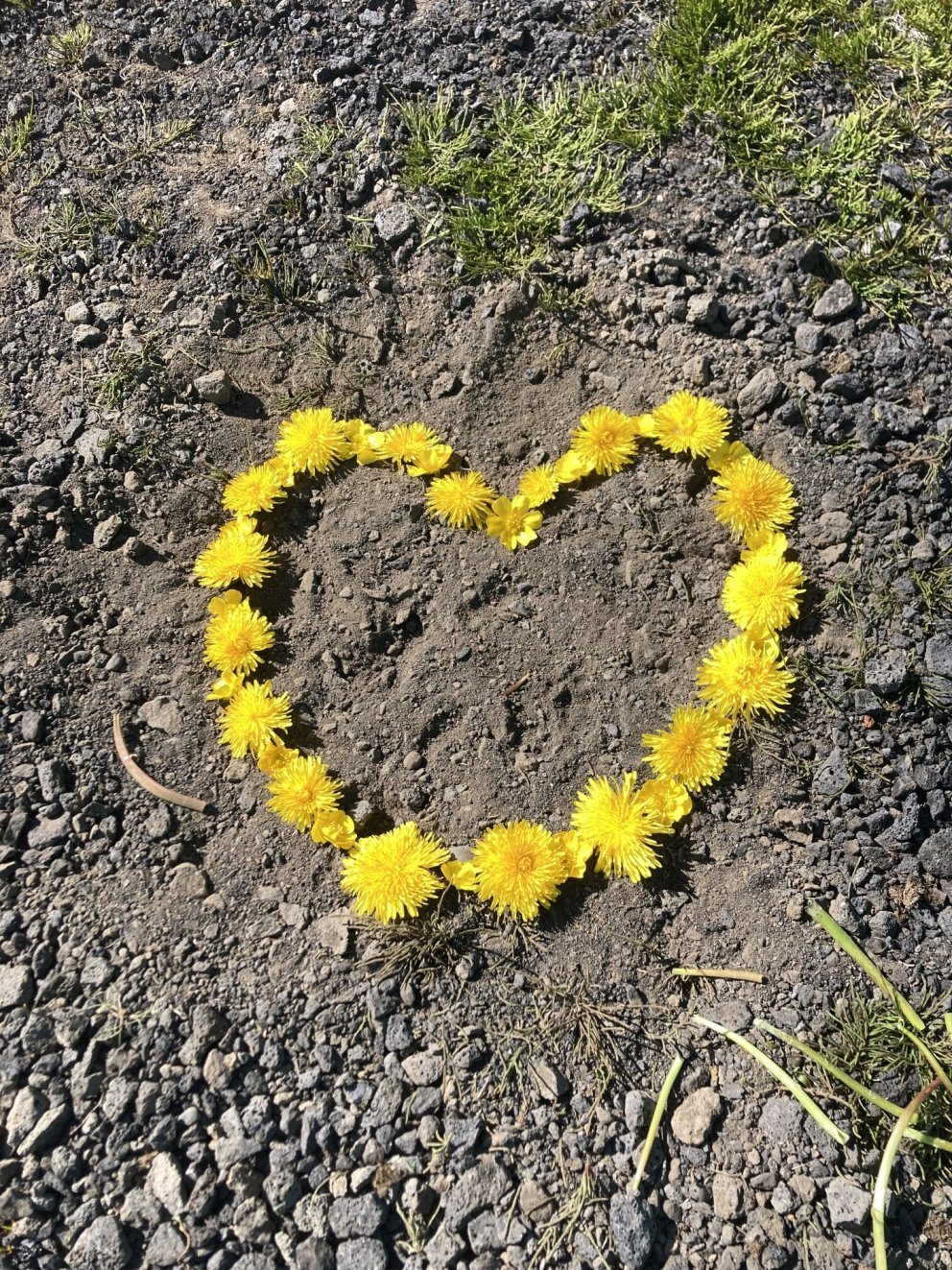 Verkstjóri í vinnuskóla