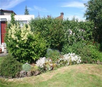 Umhverfisnefnd hrósar íbúum