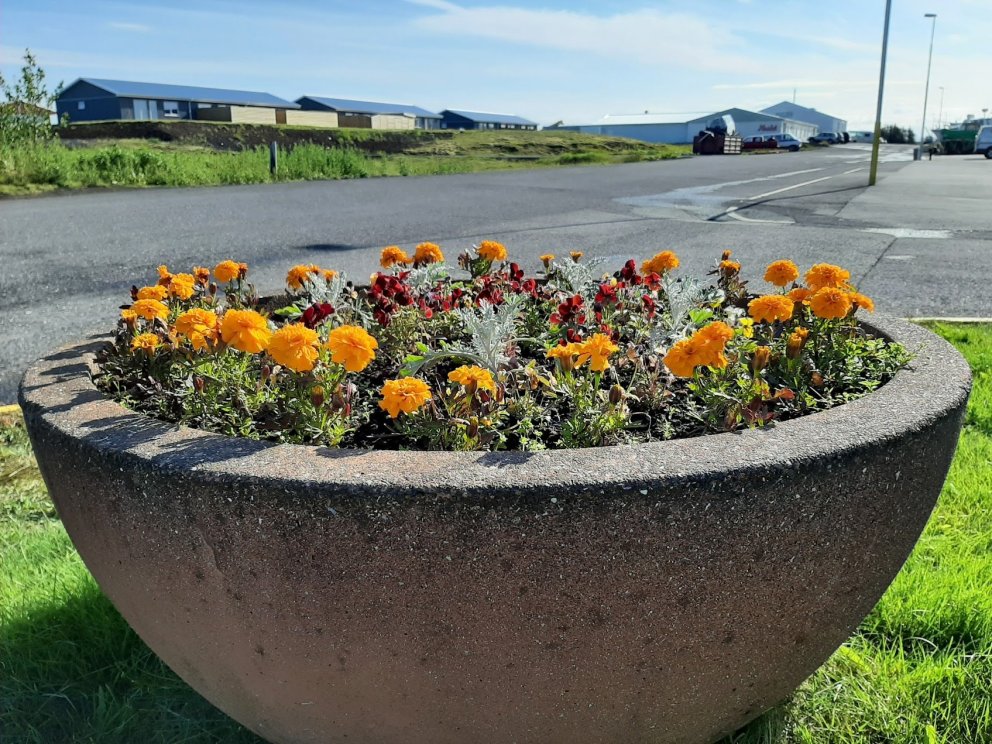 Laus störf flokkstjóra í vinnuskóla