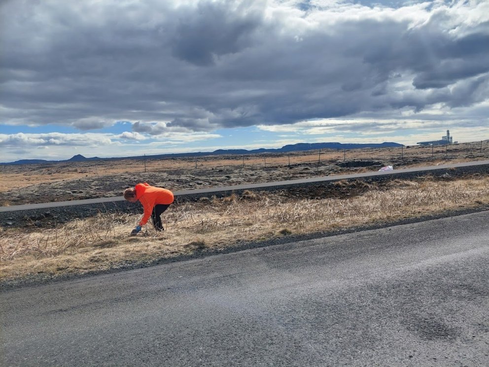 Stóri plokkdagurinn - sunnudaginn 26. apríl