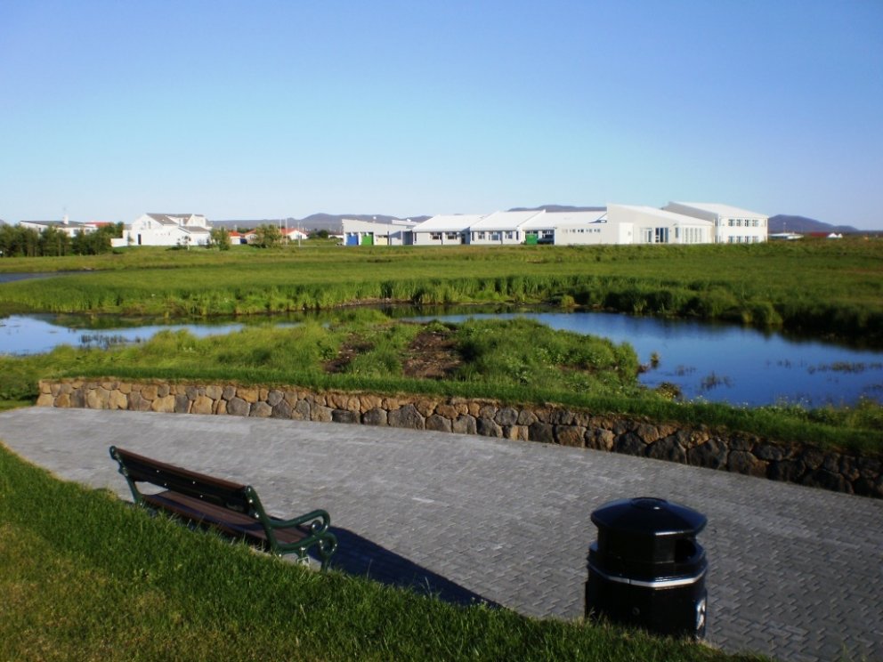 Gróska við Vogatjörn