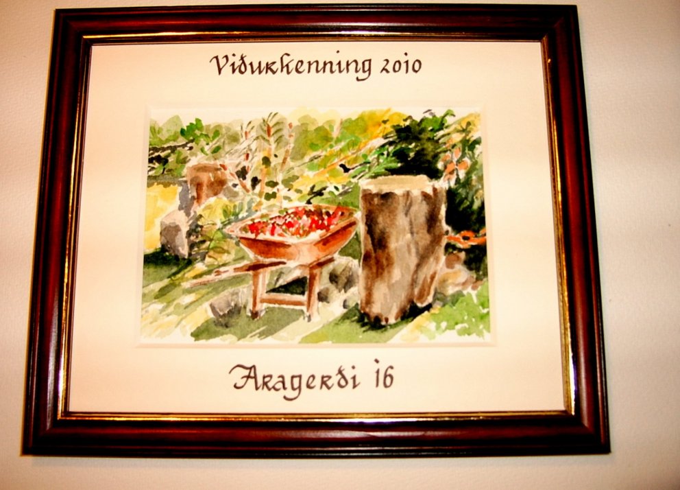 Umhverfisviðurkenningar