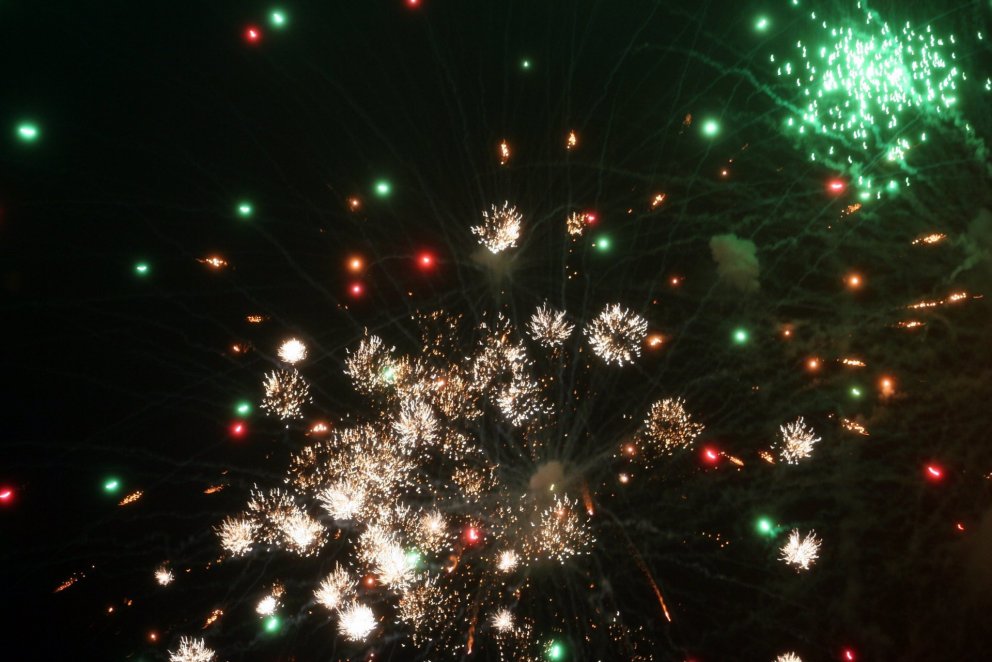 Fjölskyldudagurinn 2010