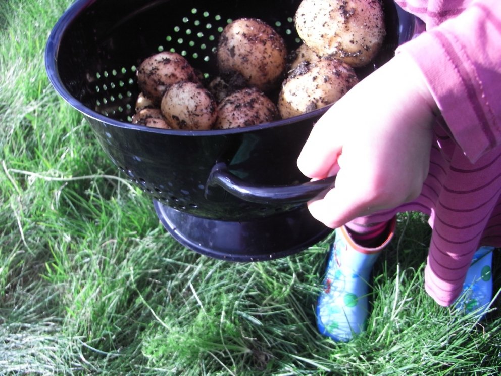 Sveitamarkaður Hlöðunnar