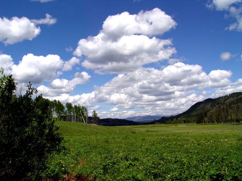 Kalka - Sorpeyðingarstöð Suðurnesja