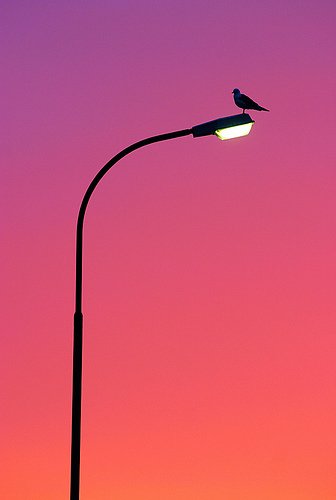 Slökkt á götulýsingum frá 1. júní til 20. júlí