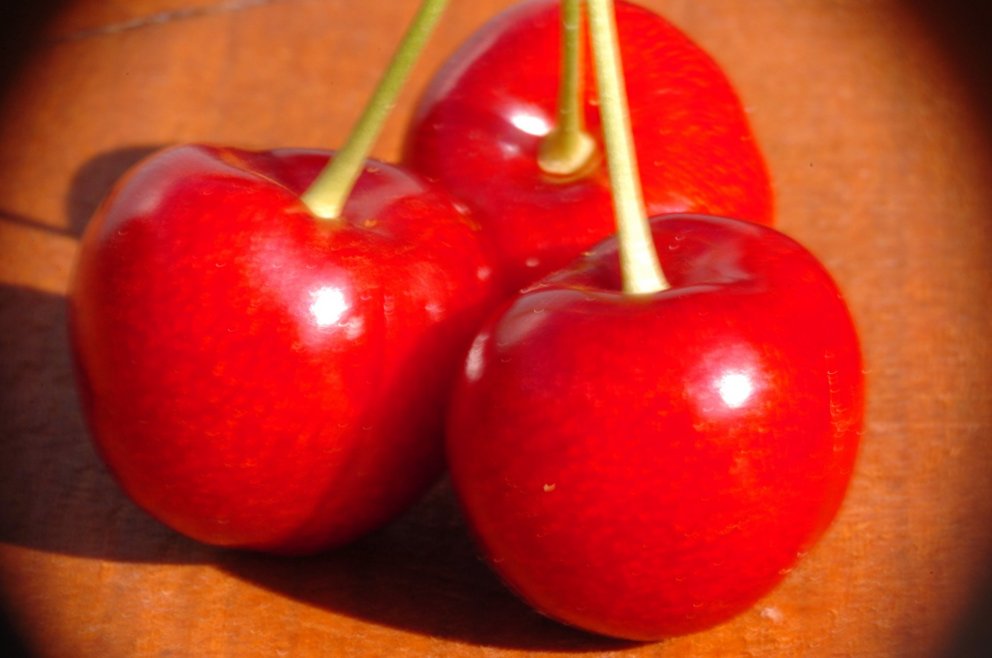 Ávaxtatré gróðursett í Vogum