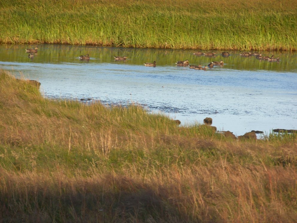 Haust og vetrarstarf er að hefjast