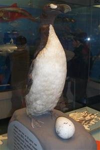 Sagnakvöld í Fræðasetrinu í Sandgerði