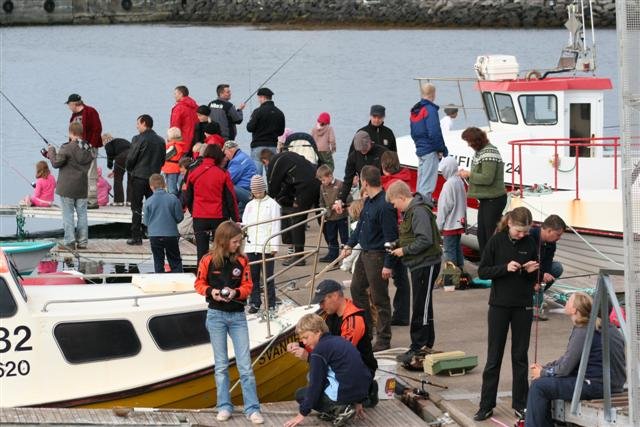 Fjölskyldudagurinn 2008