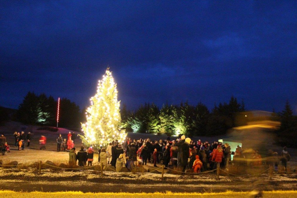 Tendrun jólatrés í Aragerði 7. desember