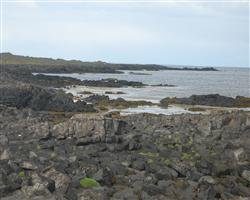 Sögu- og náttúrugönguferðir um Vatnsleysuströnd og Voga