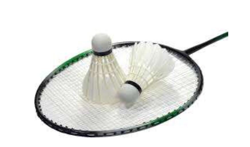 Langar þig að spila badminton ?