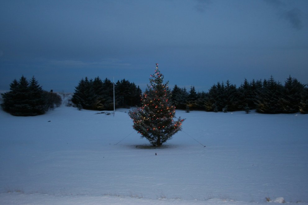 Fyrsti í aðventu, sunnudagurinn 2. desember.