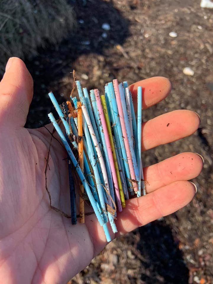 Góð þátttaka í stóra plokkdeginum