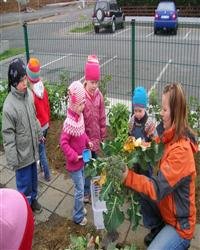 Nýr leikskólastjóri og aðstoðarleikskólastjóri