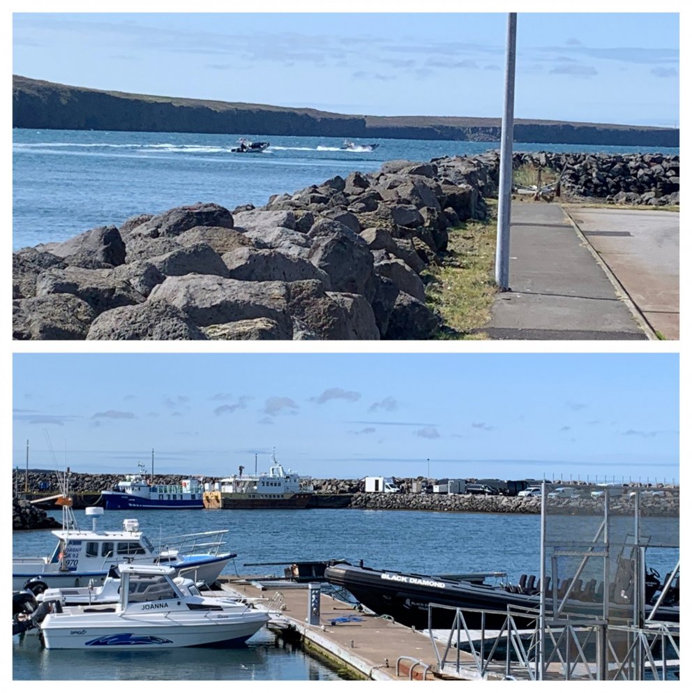 Höfnin iðar af lífi