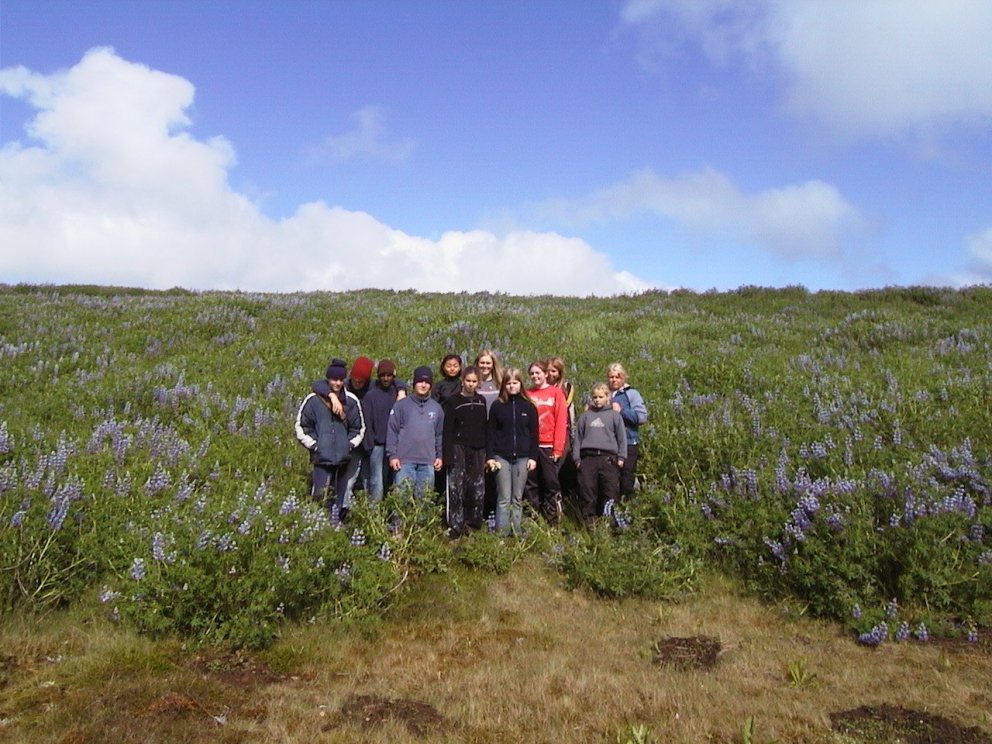 Sumarstörf - Flokkstjóri í Vinnuskóla