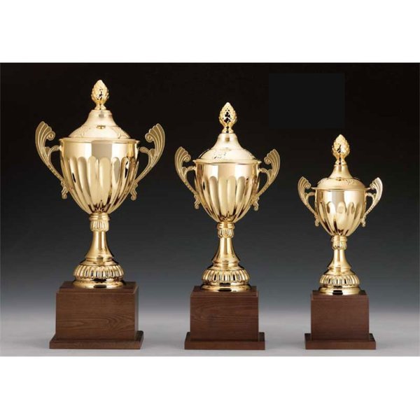 Íþróttamaður ársins í Sveitafélaginu Vogum 2020