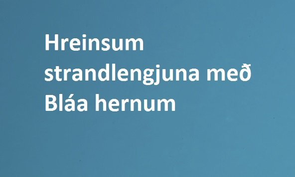 Fjöruhreinsun í Flekkuvík