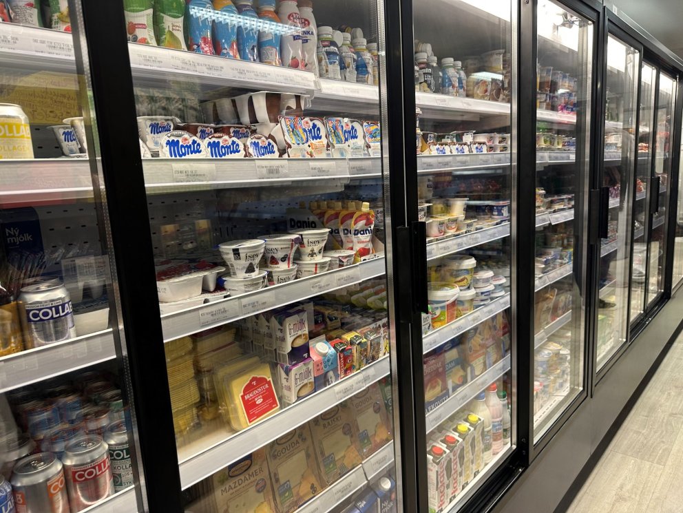 Vogus skal hún heita