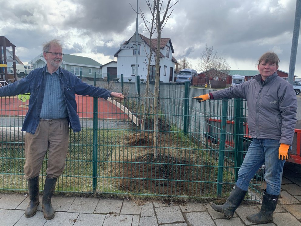 Trjáplöntun á lóð Heilsuleikskólans Suðurvalla