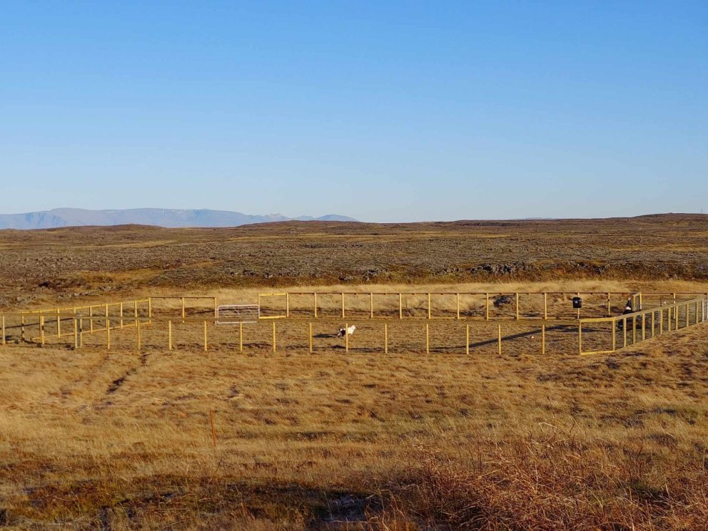 Hundagerði og lausaganga hunda