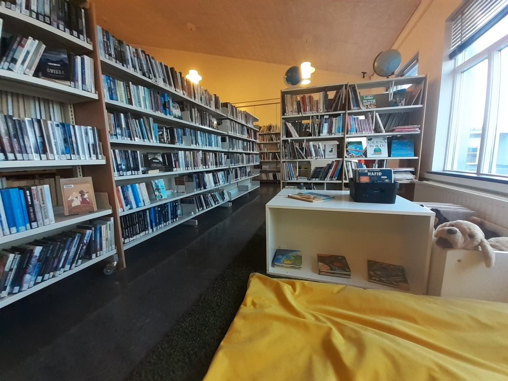 Lestrarfélagið Baldur kynnir