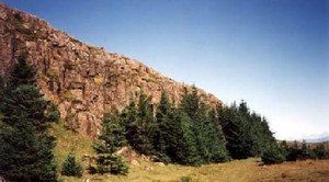 Aðalfundur Skógfells 2023