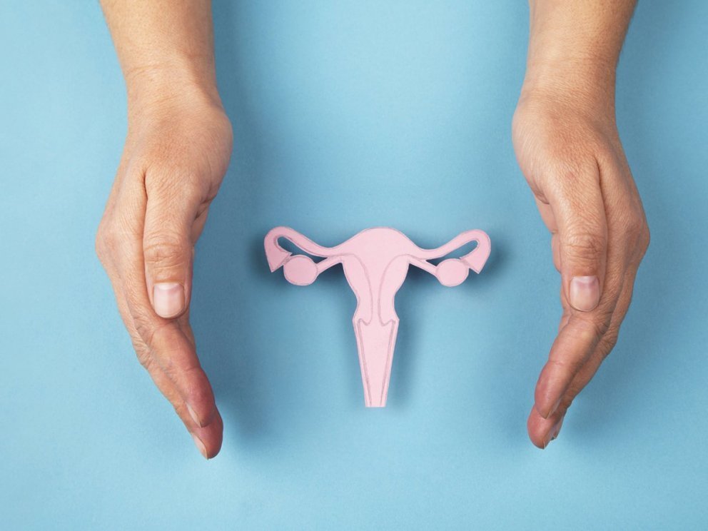 Skimun fyrir leghálskrabbameini hjá HSS