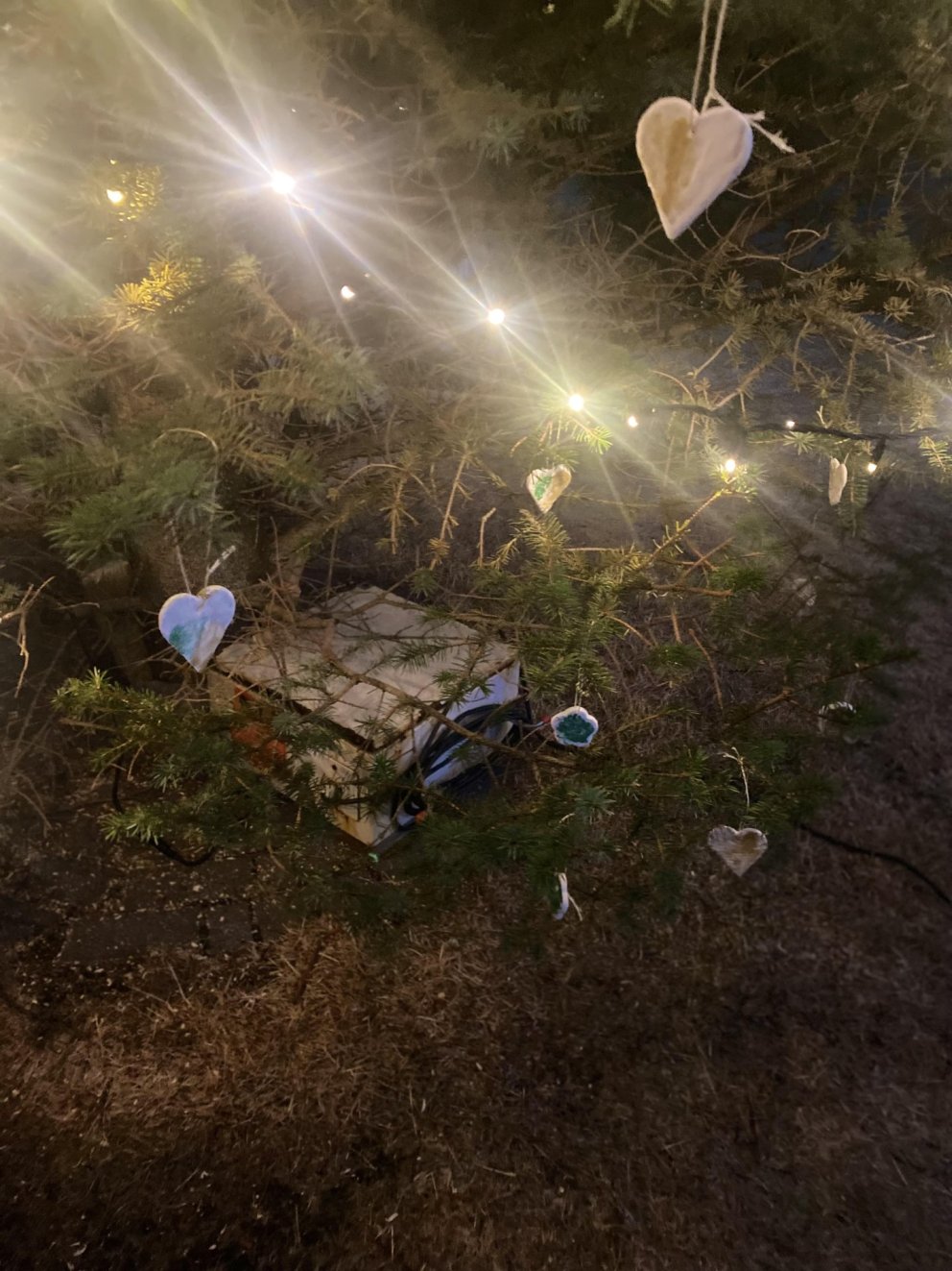 Skrautið var úr náttúruvænum efnum.