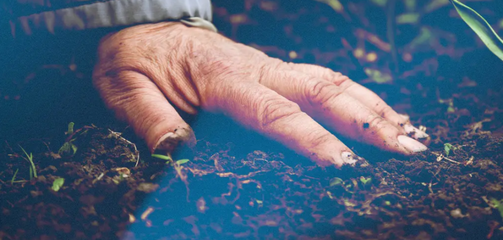 Opið fyrir umsóknir í Startup Landið