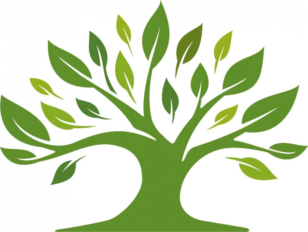 Umhverfisvika Sveitarfélagsins Voga 2019